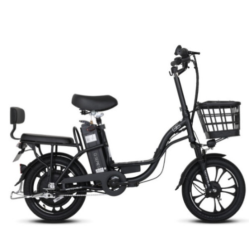 G6 DUAL (2023년형)