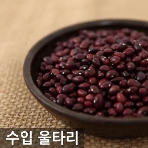삼원농산영농조합 수입산 울타리콩 500g