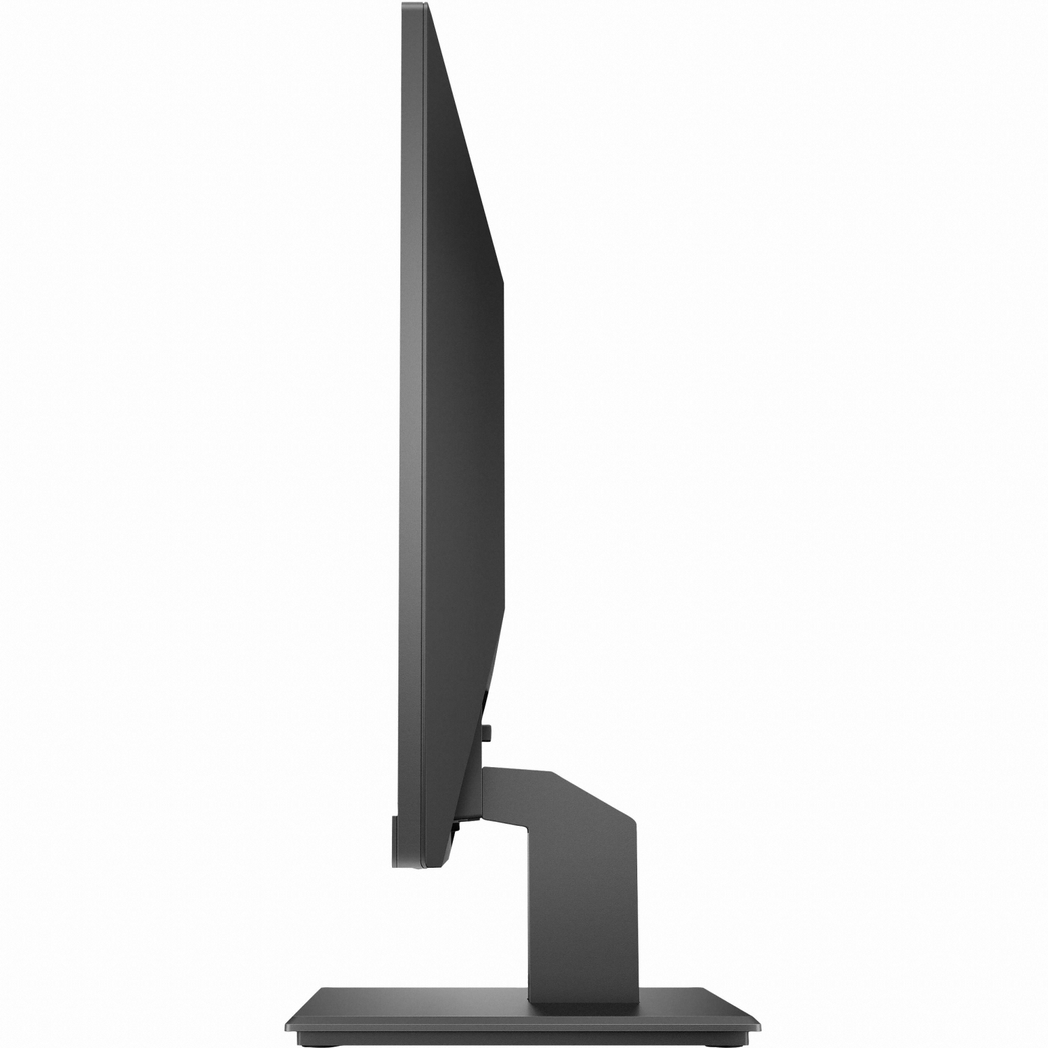 HP ProDisplay P244