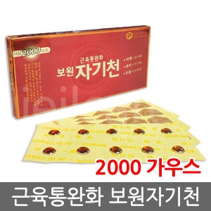 보원 자기천_이미지