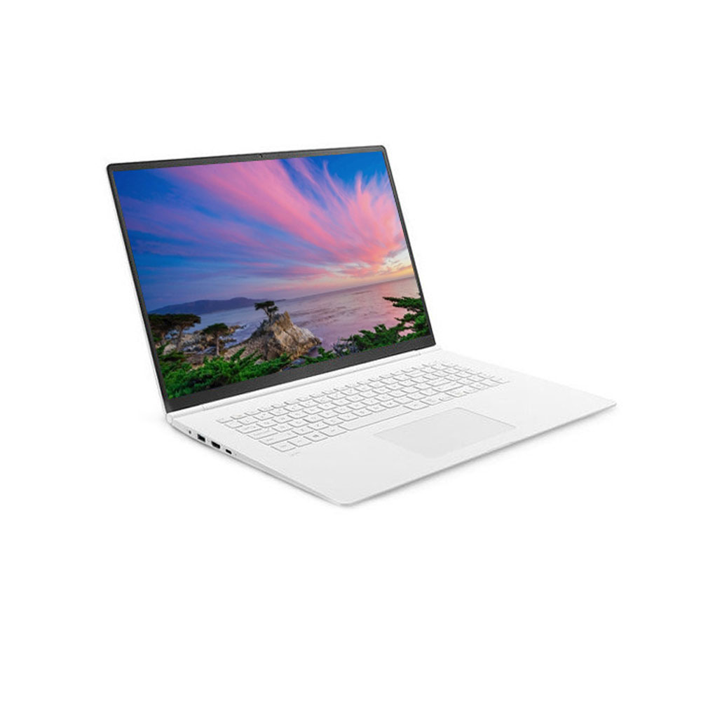 LG���� 2022 �׷�17 17ZD95P-GX5IK WIN10