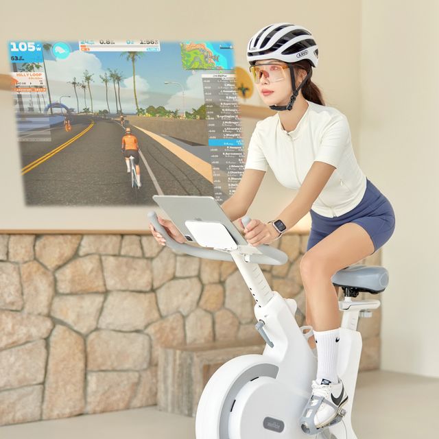 ��Ų������ EMS ERG ���ɹ���ũ