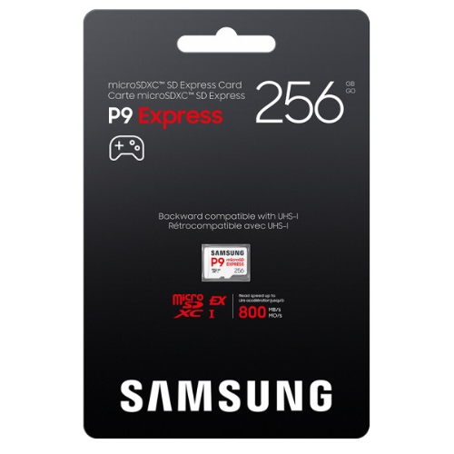 �Ｚ���� microSD P9 Express for Nintendo Switch 2