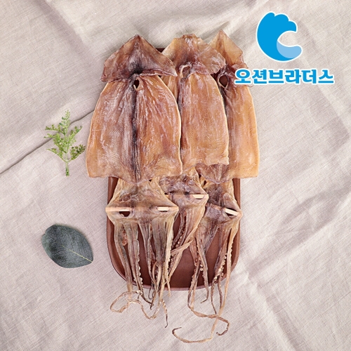 오션브라더스 고소한 건오징어 1.5kg / 20마리_이미지