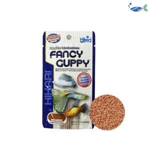 히카리 히카리 팬시구피 -22g-