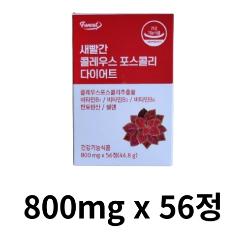 �޿½�Ǫ��� �۴�Ʈ ������ �ݷ��콺 �����ݸ� ���̾�Ʈ 56��