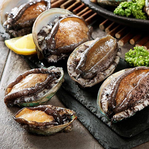 자연맛남 완도 활전복 특대 11-12미 1kg (1개)_이미지