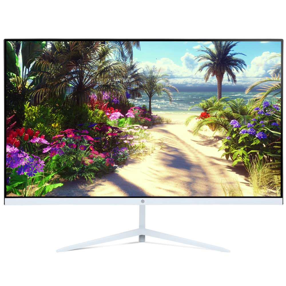 픽셀아트 PIXELART PA2430W 아이케어 프리싱크 100 UP 화이트
