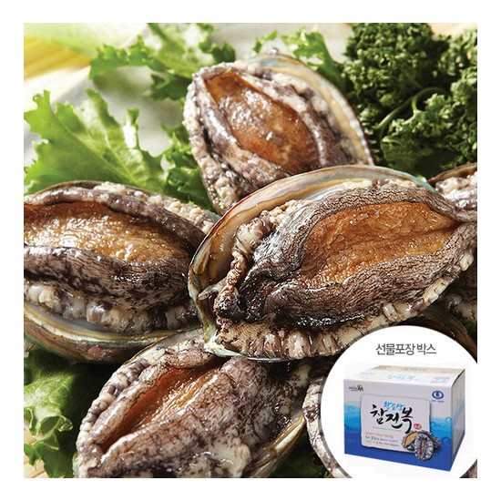 �ϴö� �ϵ� �� ���� 10~11��(����) 1.5kg ������Ʈ