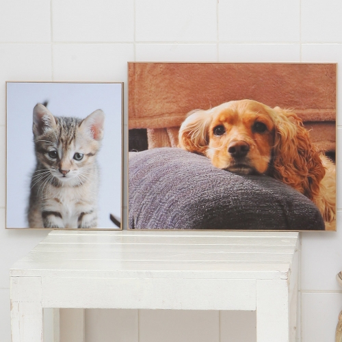 20x24��ġ WOOD ������������ ������ȭ ����M 100 ���۾�
