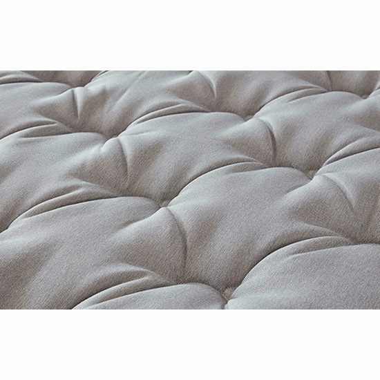 �ø� ��Ƽ����Ʈ ��� ��Ʈ���� KK