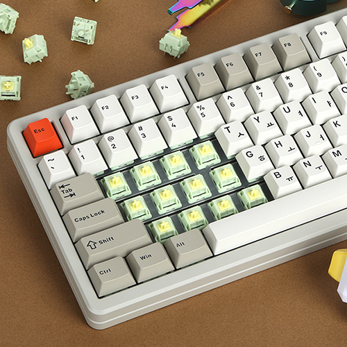 SPM JOYAKDOL75 ������ ����