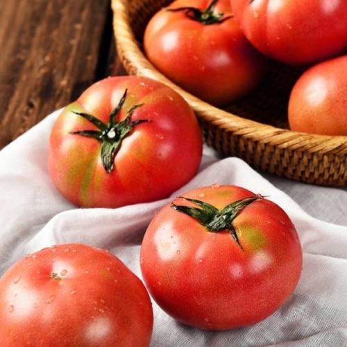 토마토 5kg (1개)_이미지