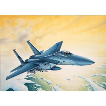 이탈레리 ㅤ1/72 F-15 C EAGLE_이미지