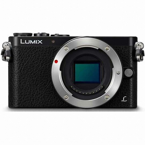 �ĳ��Ҵ� ��ͽ� DMC-GM1 �ٵ�