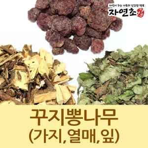  자연초 국산 꾸지뽕나무/꾸지뽕열매/구지뽕잎/구지뽕열매 차