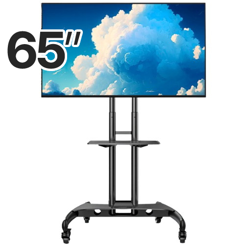 이스트라 쿠카 144Hz AI 65 미니LED 퀀텀 사운드 구글TV 이동형 패키지 (이스트라 이동형 스탠드 B타입)