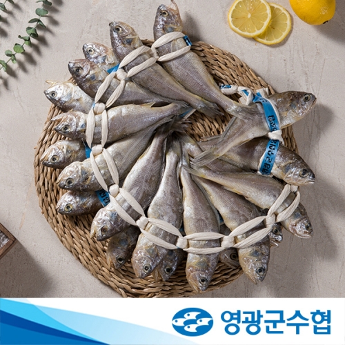 법성포 영광 장대 굴비 1.5kg 20미 +부직포가방