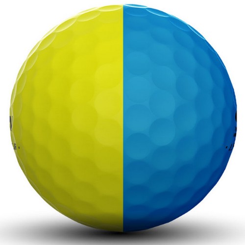 ���� ������ 2024 Q-STAR ���� ����̵� ���ο�+����