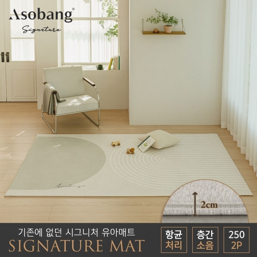 파크론 아소방 아소방 시그니처 놀이방매트 오르빗 250x150x2cm (2개)