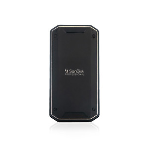 Sandisk Professional PRO-G40 SSD 해외구매 (4TB)