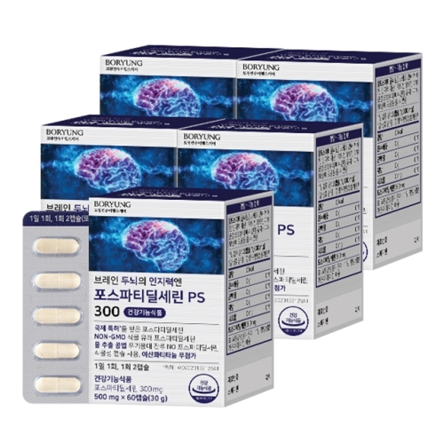 ���� �극�� �γ��� �����¿� ������Ƽ������ PS 300 60ĸ��