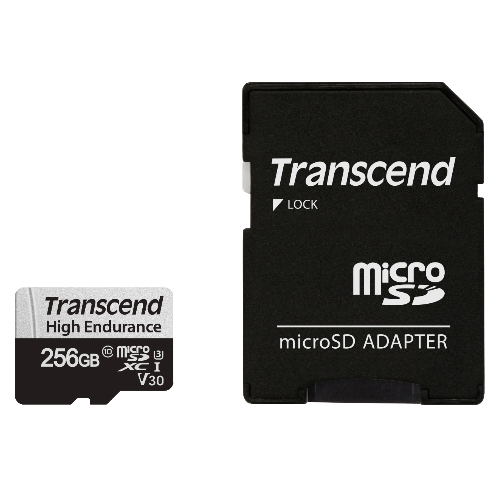 micro SD High Endurance 2021