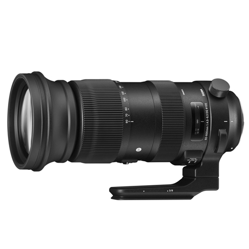 SIGMA S 60-600mm F4.5-6.3 DG OS HSM 니콘 F용 (중고품)