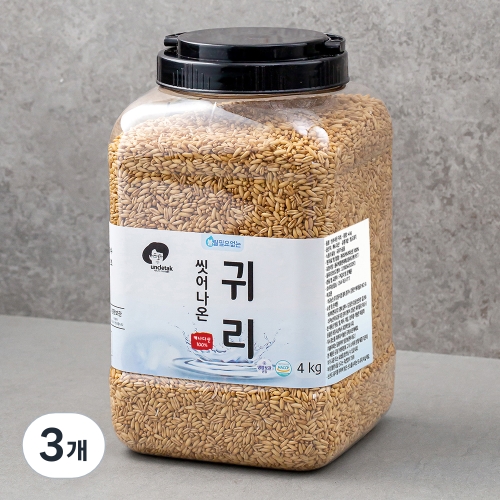 대구농산 씻어나온 귀리쌀 4kg (3개)