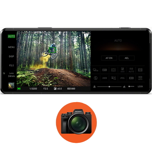 SONY �����丮�� ����-I 512GB, �ڱ���