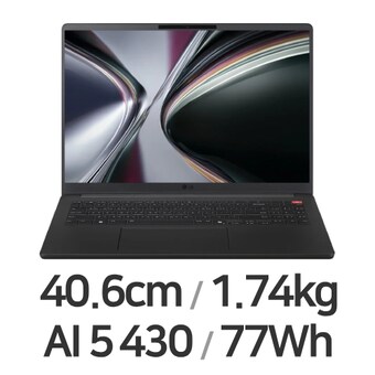 LG전자 그램북 16UD55U-GX5JK
