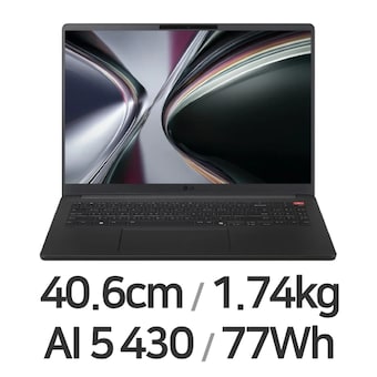 LG전자 그램북 16UD55U-GX5JK