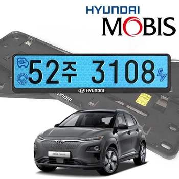C2D6P1Z5 일렉트릭 현대비스 번호판가드 순정용 가드