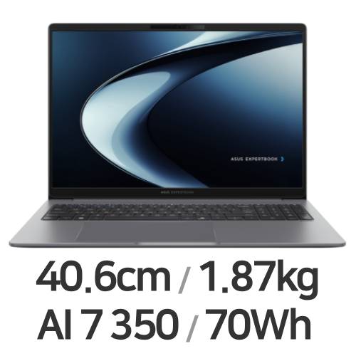 ASUS ExpertBook P3 PM3606CKA-MB0222 (SSD 512GB)_이미지