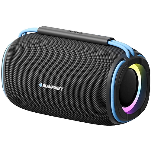 블라우풍트 BLP-BS2101