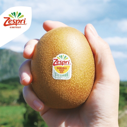 제스프리 제주산 골드키위 23입 2.5kg (1개)_이미지