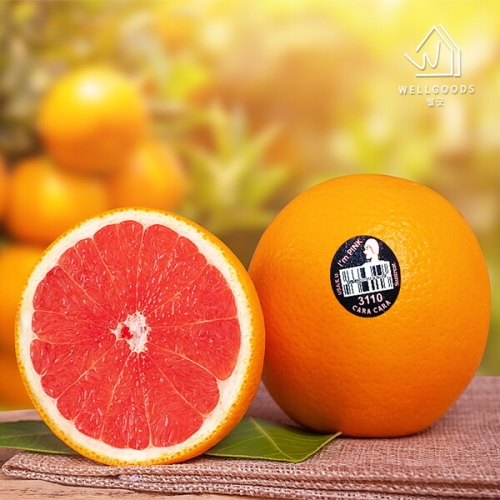 ���� ī��ī�� ���� ������ ����220g����