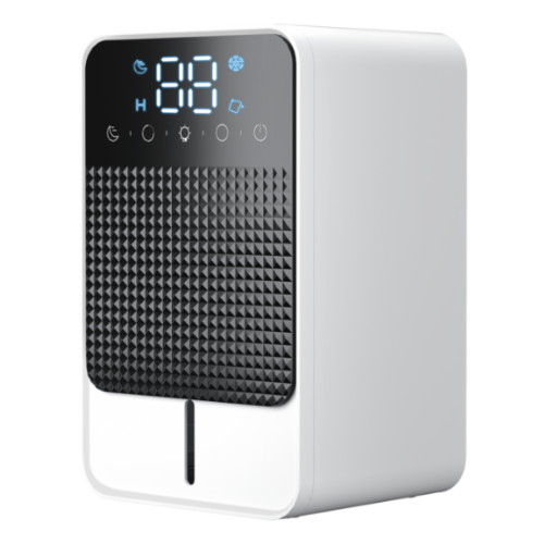 SOTCAR D1C_이미지