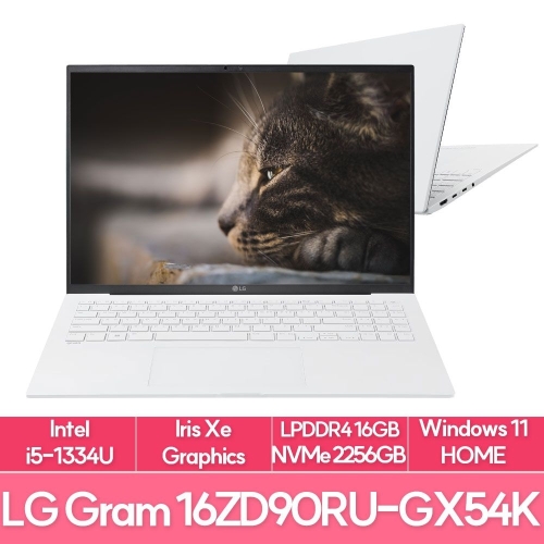 LG전자 2023 그램16 16ZD90RU-GX54K WIN11 (SSD 256GB + SSD 2TB)_이미지