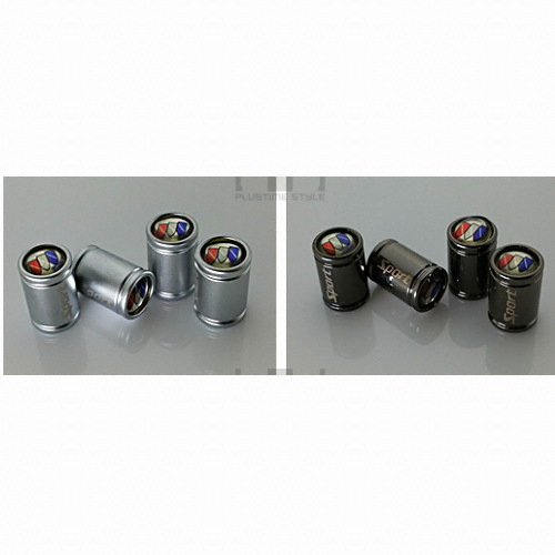 플러스타임 메탈 타이어밸브캡 (뷰익)