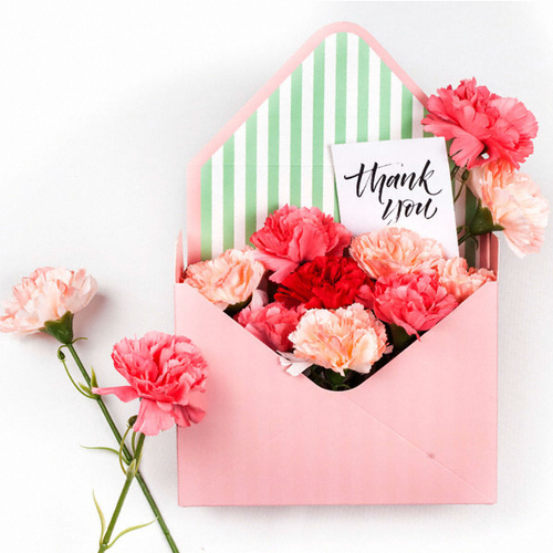 ���� ��ȭ ī���̼� �Ľ��� DIY �뵷 �ڽ�