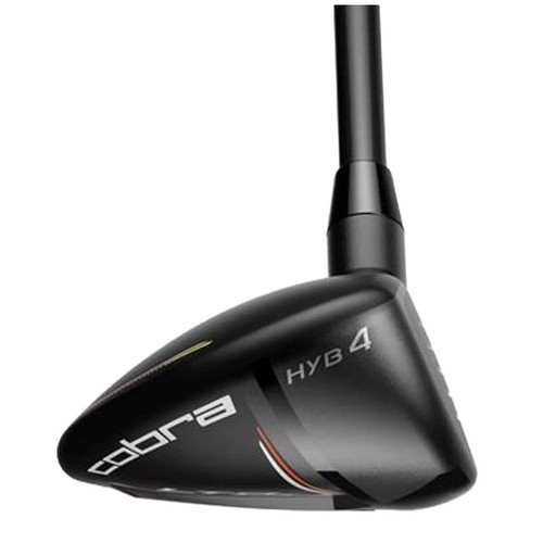 �ں�� LTDx ���̺긮��