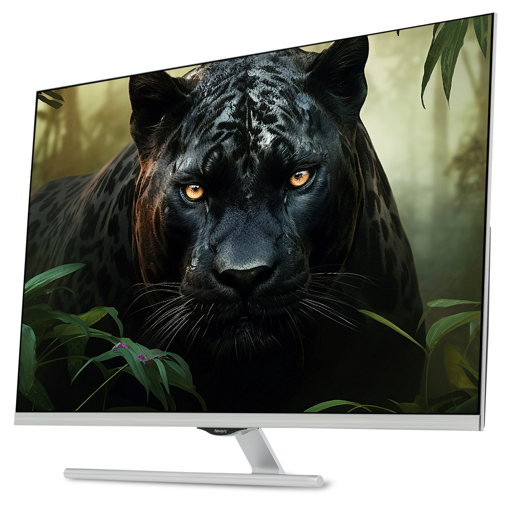 비트엠 Newsync X43UHD 울트라슬림 4K HDR