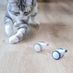 ������ ������ �ڵ� �� �峭�� ��Ű�� ���콺