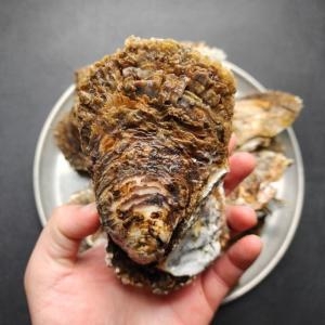 장보리 국내산 제철 벚굴 6kg [1개]