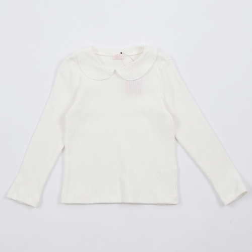 데일리애리골지티 RGLA2411P