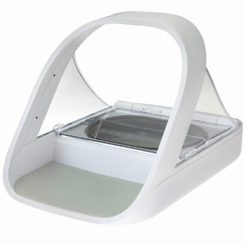 ��ǰ �� �̹���