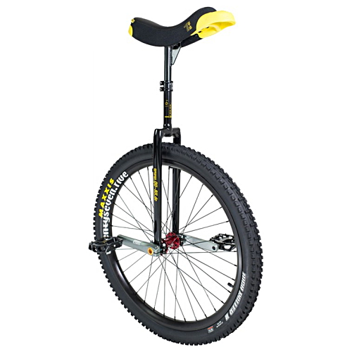 ���ǽ� Q-�Ǽ� �´� 27.5