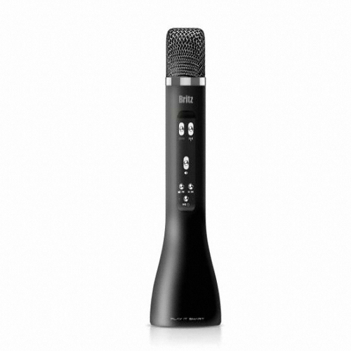Britz 브리츠인터내셔널 BZ-BX2 TWS (1개, 정품)