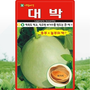 아람종묘 대박 큰박 10립 박씨 바가지박 채소종자_이미지
